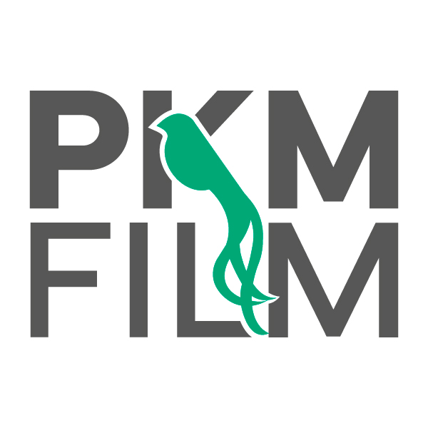 Logo PKM Film