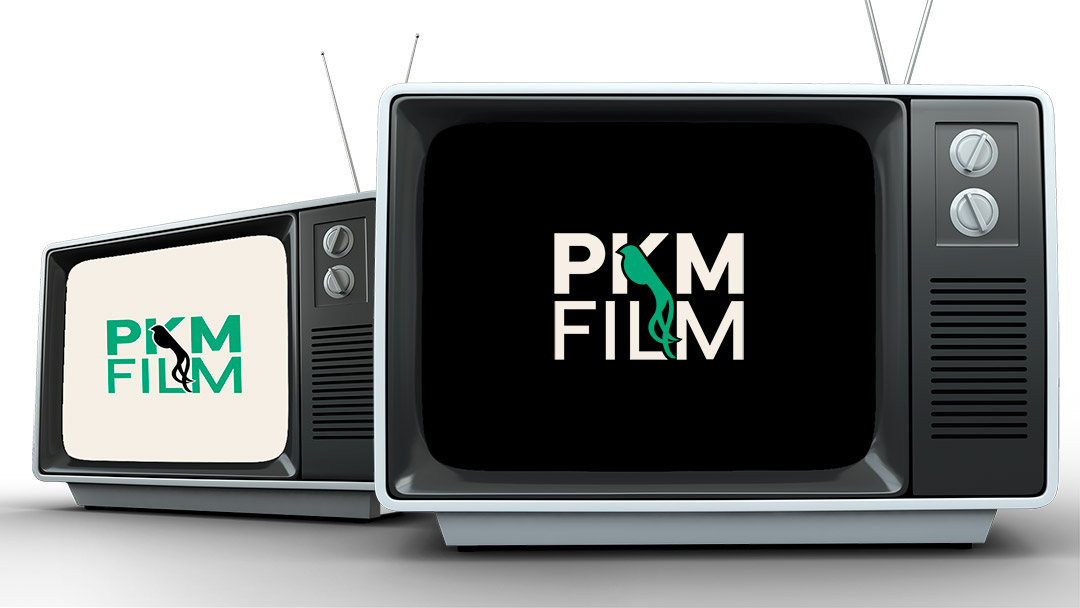 PKM Film Mario Kreuzer